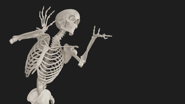 skeleton posing 3d render illustration with black background	