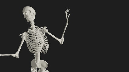 skeleton posing 3d render illustration with black background	