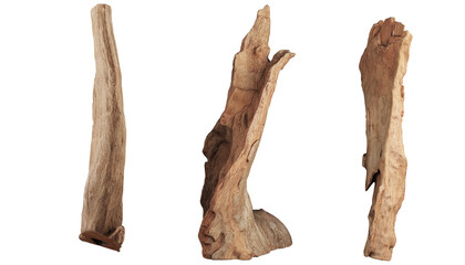 Stumps of various shapes on transparent background