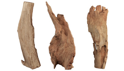 Stumps of various shapes on transparent background