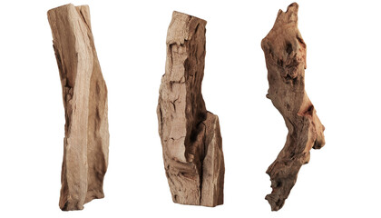 Stumps of various shapes on transparent background