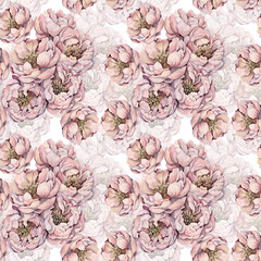 Watercolor peony pattern