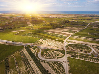 Aerial view over vineyard fields. Rolling hills nature landspace.