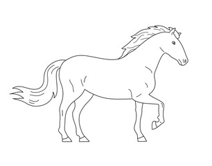 Naklejka na ściany i meble Horse mustang. A beautiful elegant animal with a mane and hooves. Sport and hippodrome. Vector cartoon illustration. Black and white line. Coloring page for kids