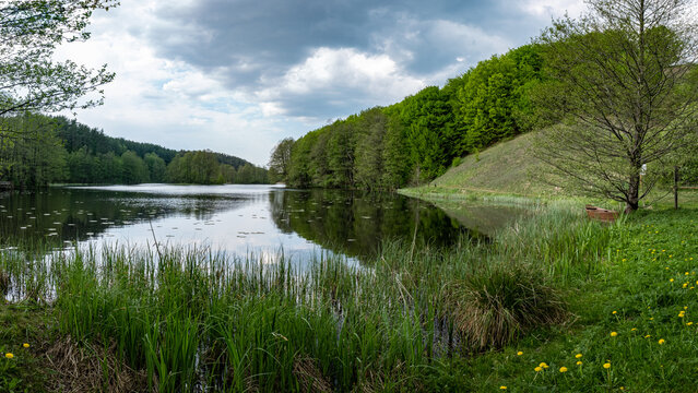 Natura, piękno, cisza, Turtul