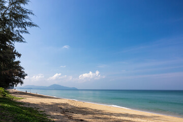 Trees by the sea in Thailand on the island of Phuket.