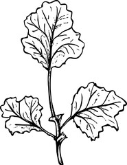Leaf Doodle Line Art