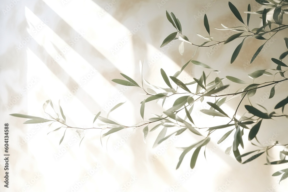 Wall mural shadows of olive tree leaves, branches over white wall. summer background, sunlight overlay, empty c