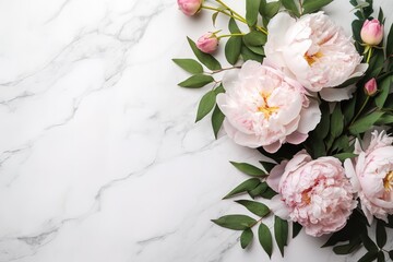 Spring decorative floral corner, banner made of pink peonies flowers isolated on white table background, copy space.