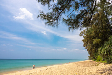 Trees by the sea in Thailand on the island of Phuket.