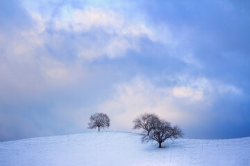idealistic winter landscape 