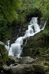 Naklejka premium rio con cscada fluye entre el bosque