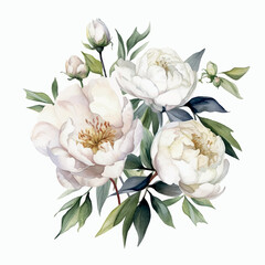 white peony bouquet watercolor white background
