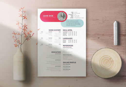 Professional Curriculum Vitae Layout