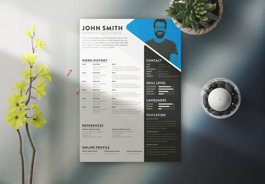 Professional Curriculum Vitae with blue Accent Layout