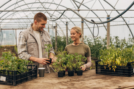 A caucasian man and woman work on a greenhouse. - Powered by Adobe