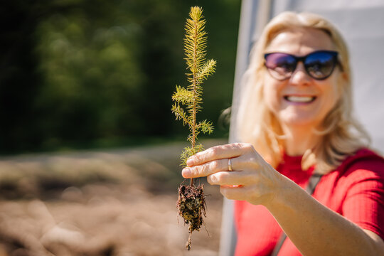 A woman up close holding a young spruce seedling in her hand, the seedling is colorful, soft focus
