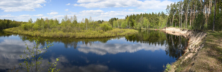 Fototapeta na wymiar Panorama of the forest river in spring.