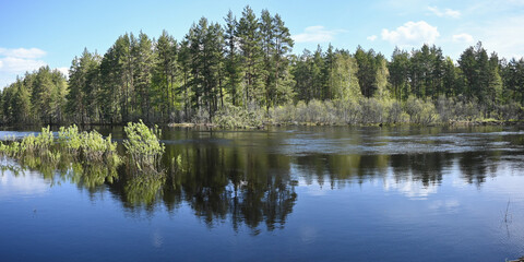 Panorama of the forest river in spring.