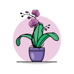 Orchid flower in pot. Exotic floral flat design.