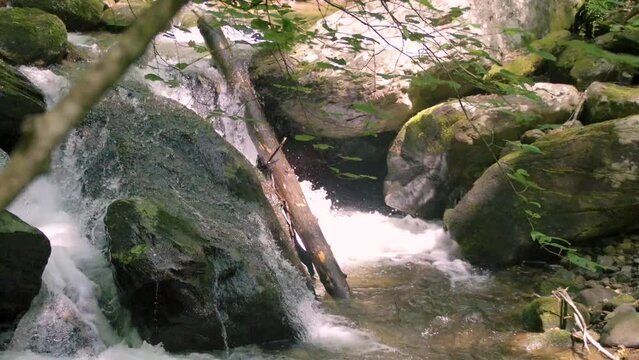 Georgia Anna Ruby Falls  A view of a small waterfall with trees and rocks on the York-Smith Creek