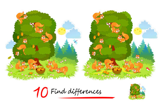 Find 10 differences. Illustration of squirrels family gathering acorns in the forest. Logic puzzle game for children and adults. Page for kids brain teaser book. Developing to count. Vector drawing.
