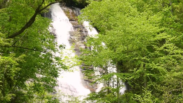 Georgia Anna Ruby Falls  A view of the upper part of the Anna Ruby Falls through several trees