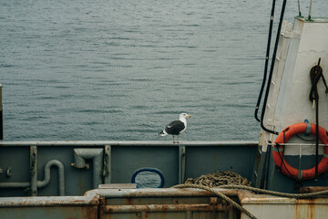Equipment for fishing nets on a big ship