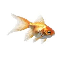 goldfish isolated from background, generated ai.