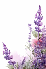 Obraz premium purple watercolor lavender flowers isolated on white, ai generated