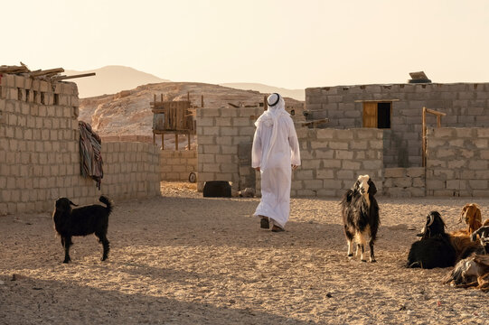 Bedouin man wearing traditional galabia in Bedouin village in Sinai Egypt