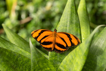 Kopenhagen Botanischer Garten 2022