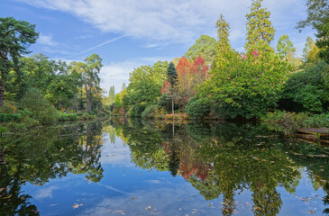 Leonarslee gardens autumnal leaves reflections in the lake
