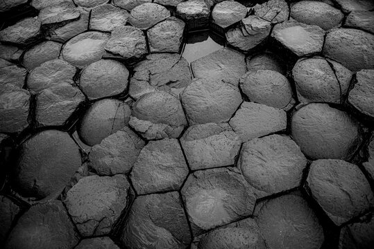 Giant's causeway black and white