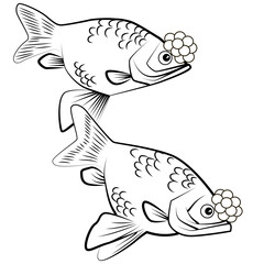 Beautiful hand drawn illustration with pom pom fish. Vector.