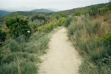 Fototapeta na wymiar empty pilgrim trail in galicia, spain