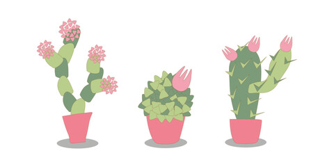 vector illustration set of stylized indoor blooming cacti. Succulents in coral pots