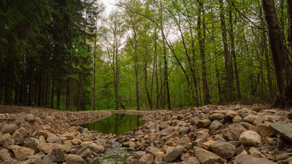 A small mountain pond surrounded by coniferous and deciduous trees. A beautiful pond in the forest surrounded by stones along the shore. The concept of a place for relaxation and meditation.