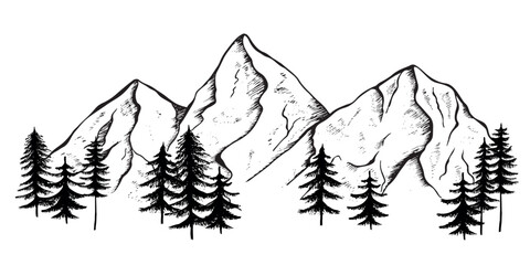 Mountain night graphic black white landscape sketch illustration vector