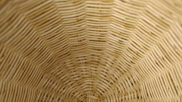 Fragment of a basket made of willow twigs or garden furniture.