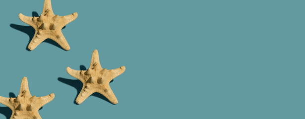 Fototapeta na wymiar Starfish on green background with shadows. Space for text. Minimal summer vacation concept