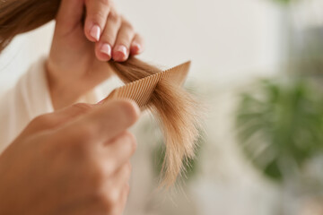 Naklejka premium a young girl in a white coat takes care of her hair at home