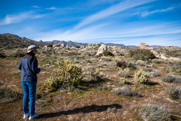 desert, trekking, outdoors, outdoor, nature, beautiful, adventure, background, blue, fit, freedom, hike, landscape, rock, rocky, scenic, sky, tourism, tourist, travel, valley