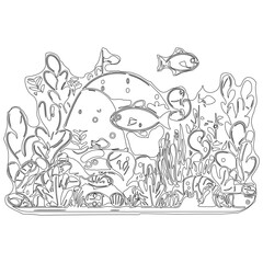 fish and coral, line art illustration.
