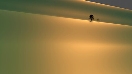 Two trees silhouette on a dune hill top in sunset time (3D Rendering)