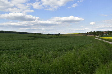 Natur zwischen Bad Nenndorf und Stadthagen