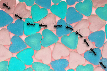 A line of ants walks on heart shaped pieces of candy in a 3-d illustration about pests invading homes and pest control.