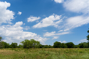 Obraz premium field and sky