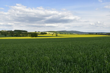 Obraz premium Natur zwischen Bad Nenndorf und Stadthagen