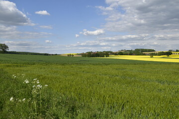 Natur zwischen Bad Nenndorf und Stadthagen